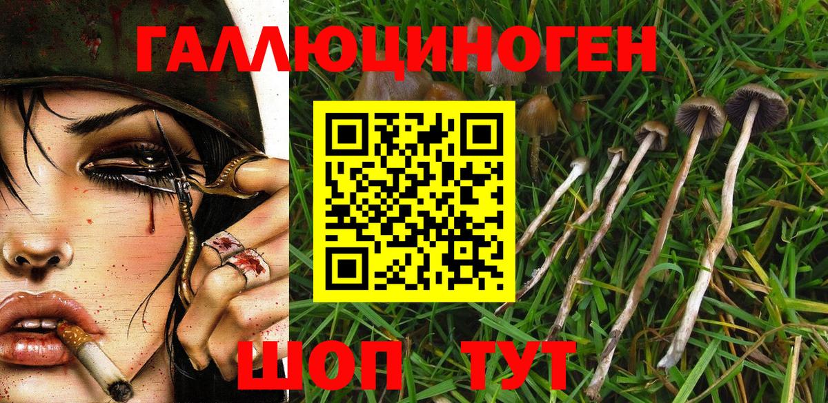Псилоцибиновые грибы Magic Shrooms Белгород