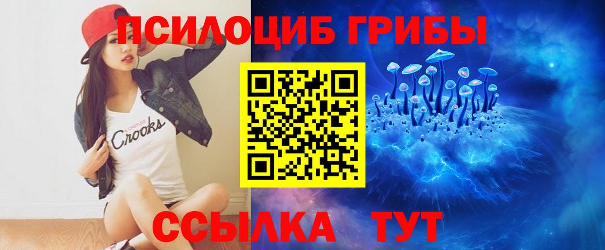Белгород  Псилоцибиновые грибы мухоморы  Вход с VPN  как найти закладки  Галлюциногенные грибы MAGIC MUSHROOMS 